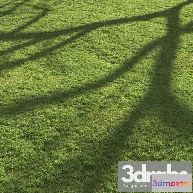 1060824 - Flat grass