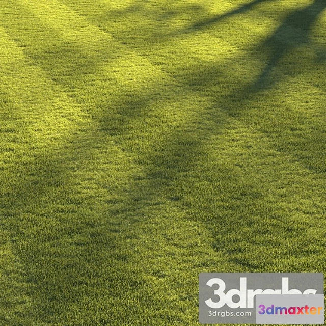 1060832 - Football pitch lawn