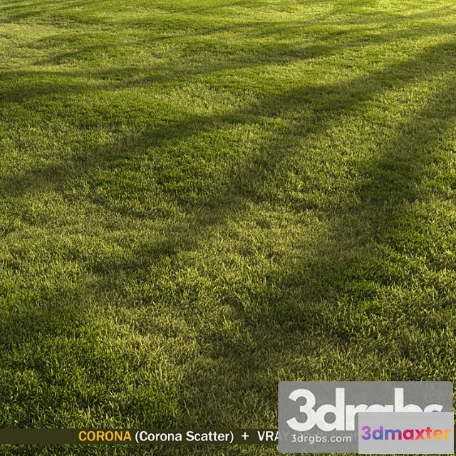 1060836 - Forest grass - No.2