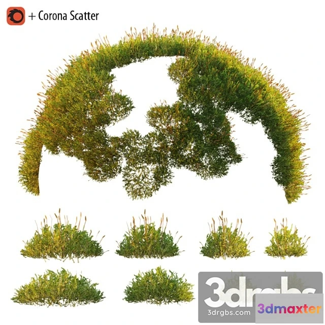 1060840 - Forest moss 2