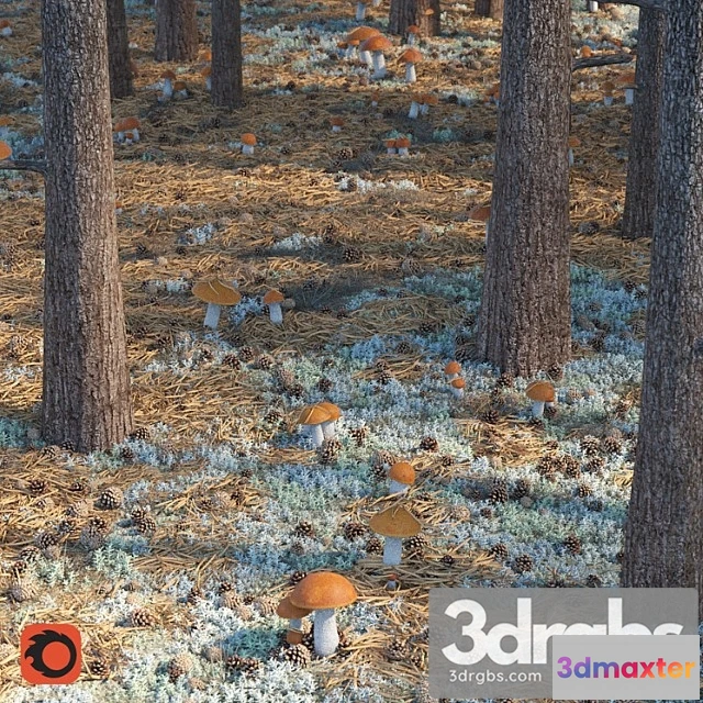 1060844 - Forestry set 2