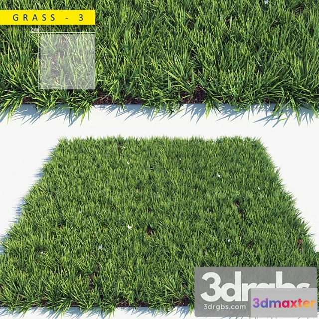 1060850 - Grass 3