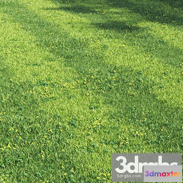 1060856 - Grass england garden