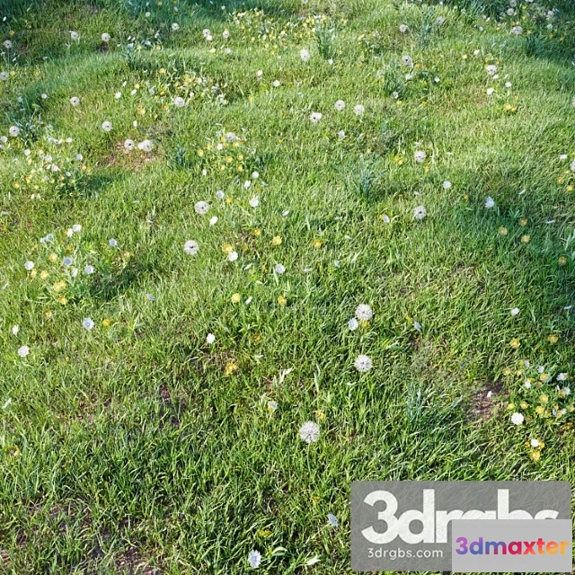 1060866 - Grass For Landscaping Set03