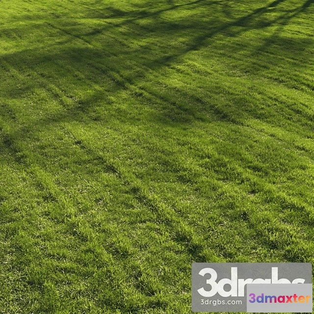 1060874 - Grass lawn