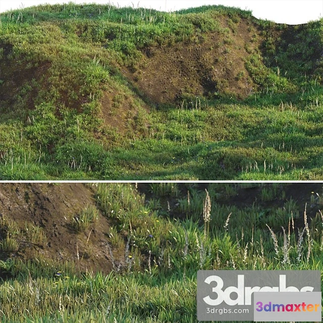 1060876 - Grass on the slope