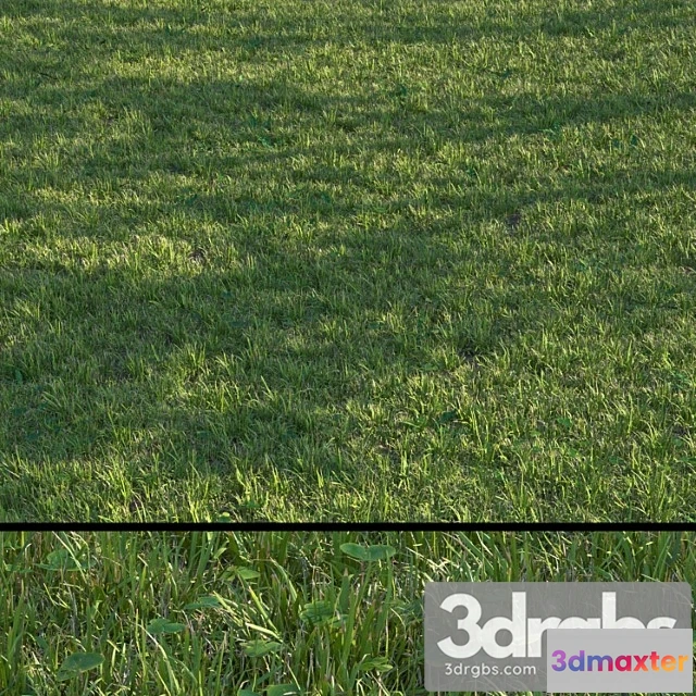 1060882 - Grass set04