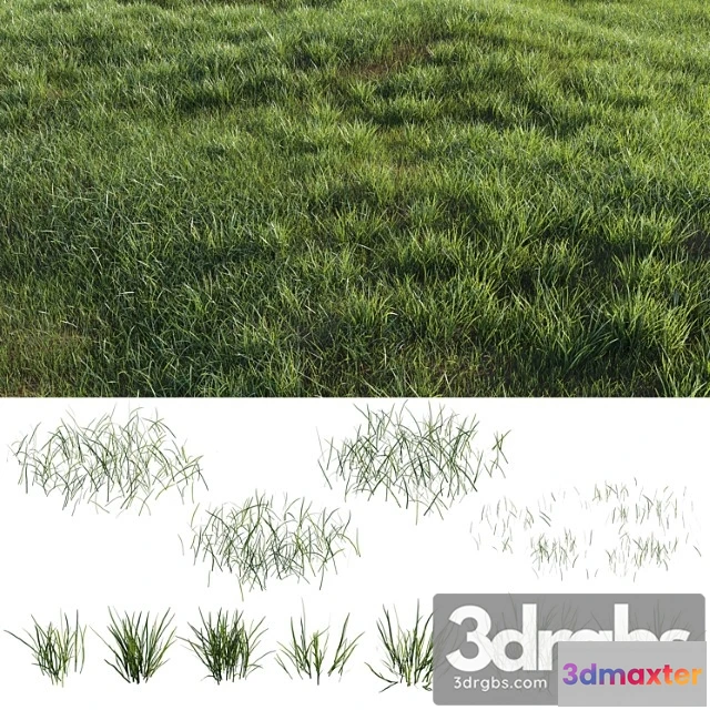 1060886 - Grass-plot