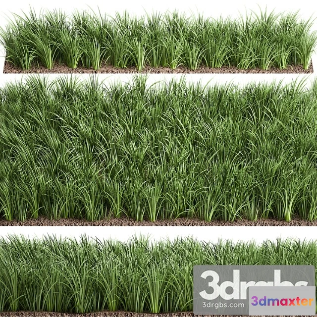 1060896 - Lawn 941. grass, bushes, landscaping_1