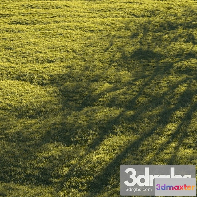 1060900 - Lawn grass 3