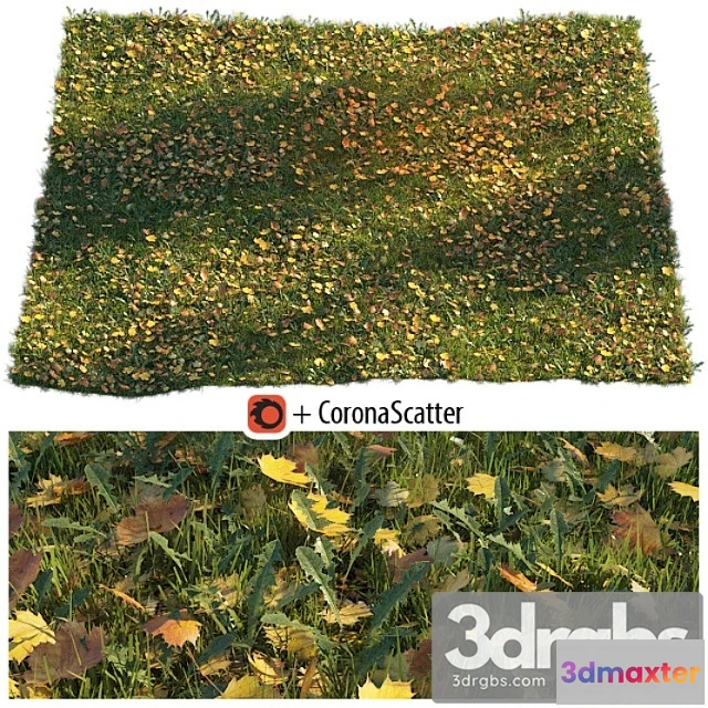 1060910 - Lawn with dry maple leaves