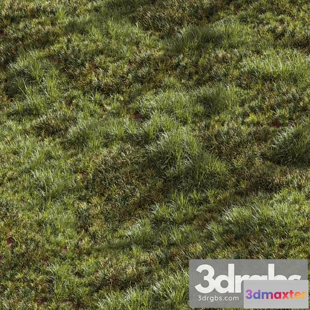 1060932 - Meadow lawn grassland set 002