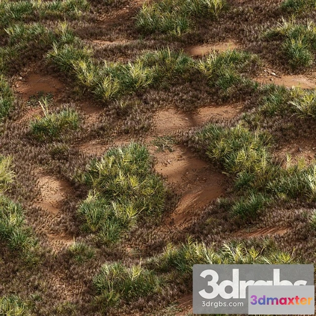 1060934 - Meadow lawn grassland set 003