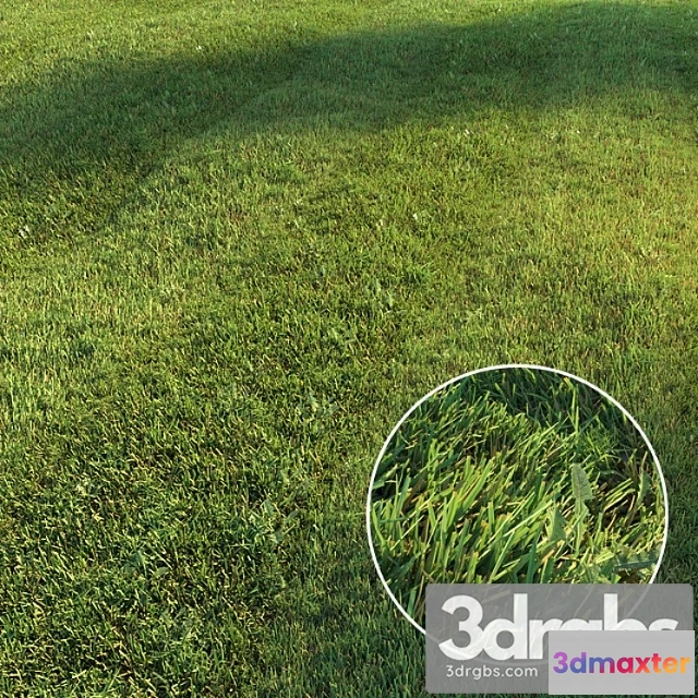 1060940 - Mowed lawn