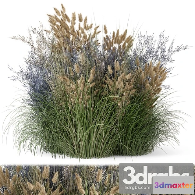 1060948 - Outdoor plants bush-bush set 1225