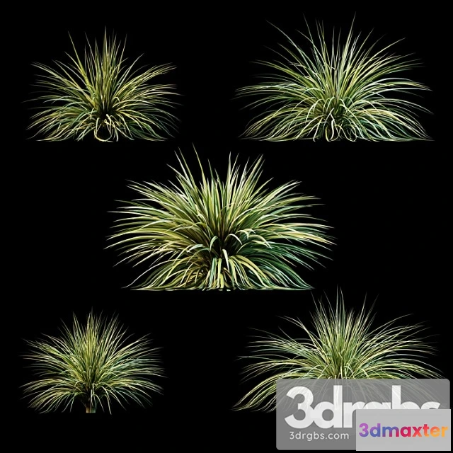 1060958 - Plants for exterior v3