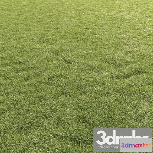 1060964 - Plants Grass Lawn grass 01