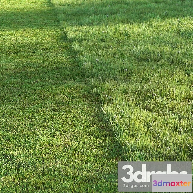 1060974 - Sports turf