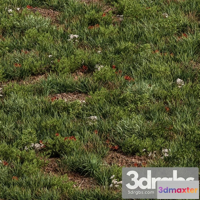 1060976 - Spring grass - grass set 07