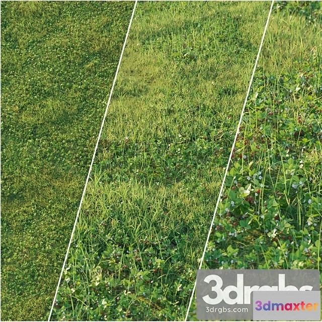 1060980 - Strawberry clearing