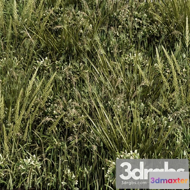 1060992 - Wild grass green - grass set 03