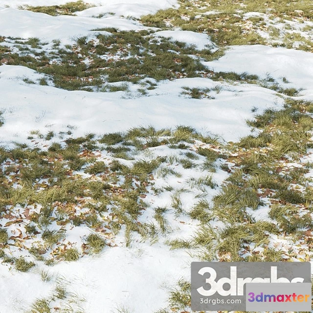 1060996 - Winter grass 01