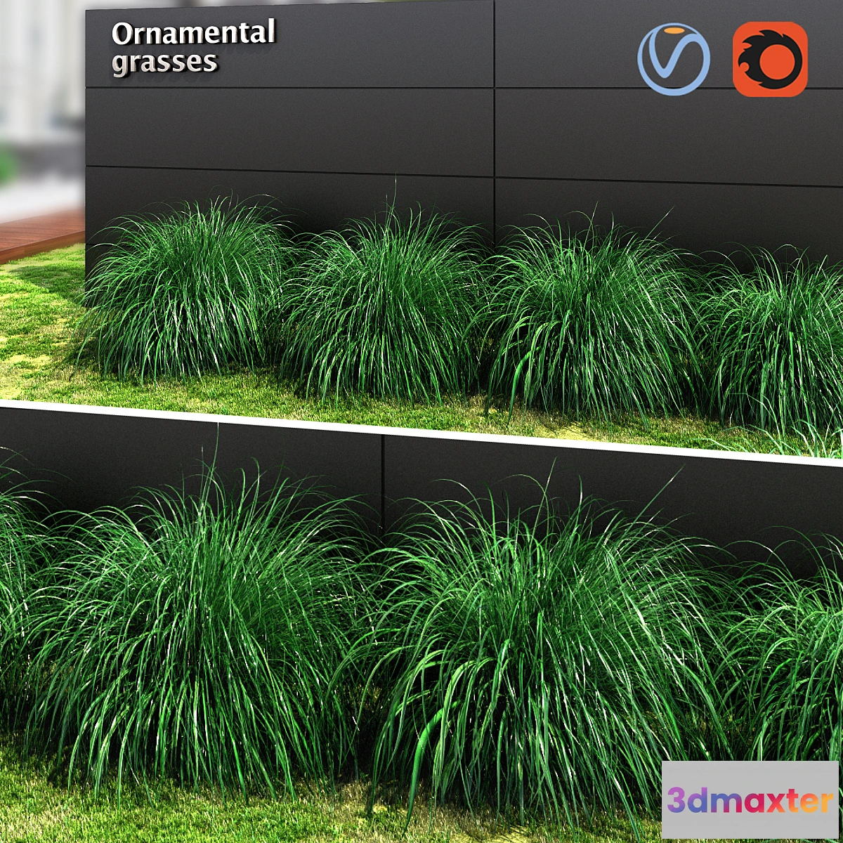 1281094 - Ornamental grass ball 3D Max