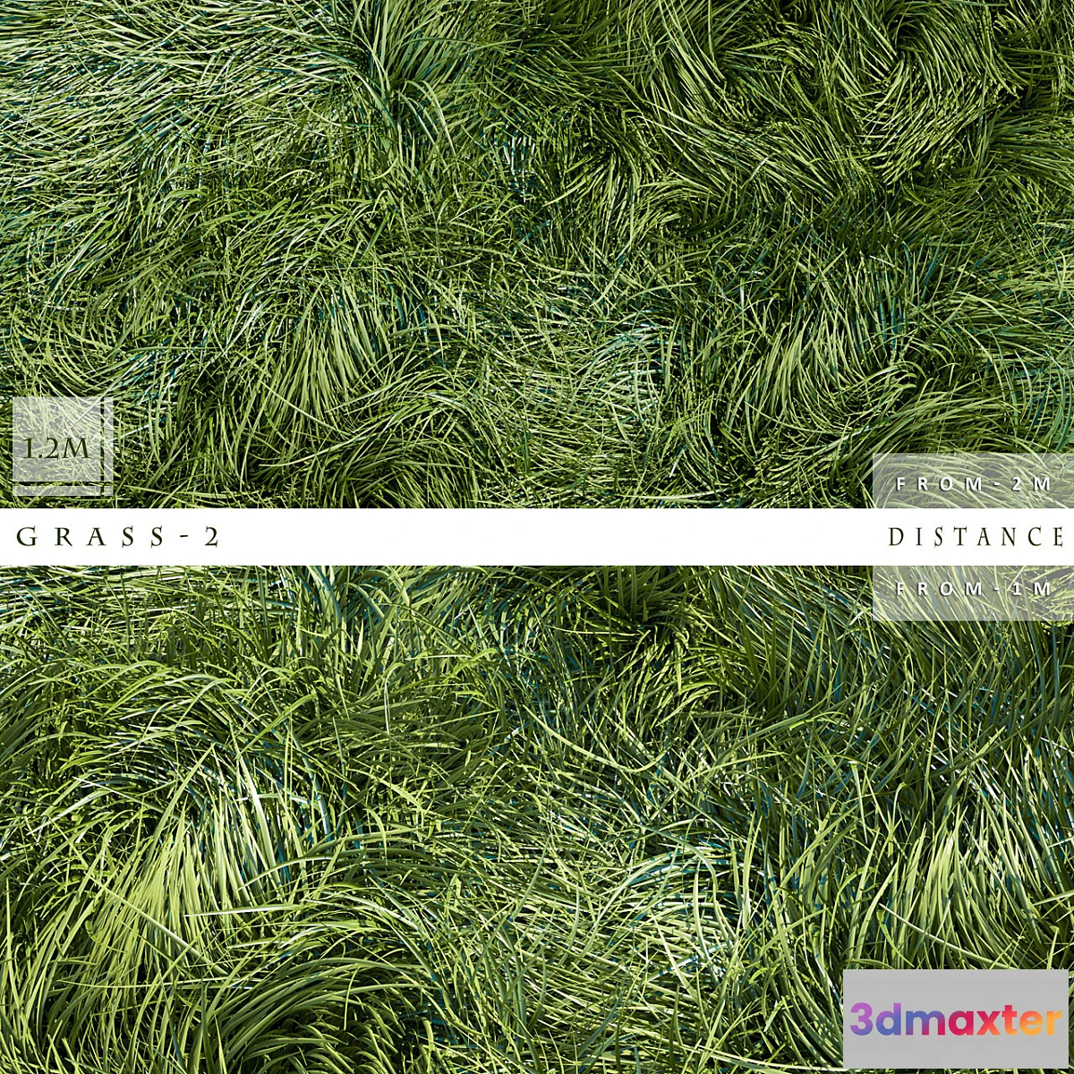 1284956 - GRASS 2 3D Max