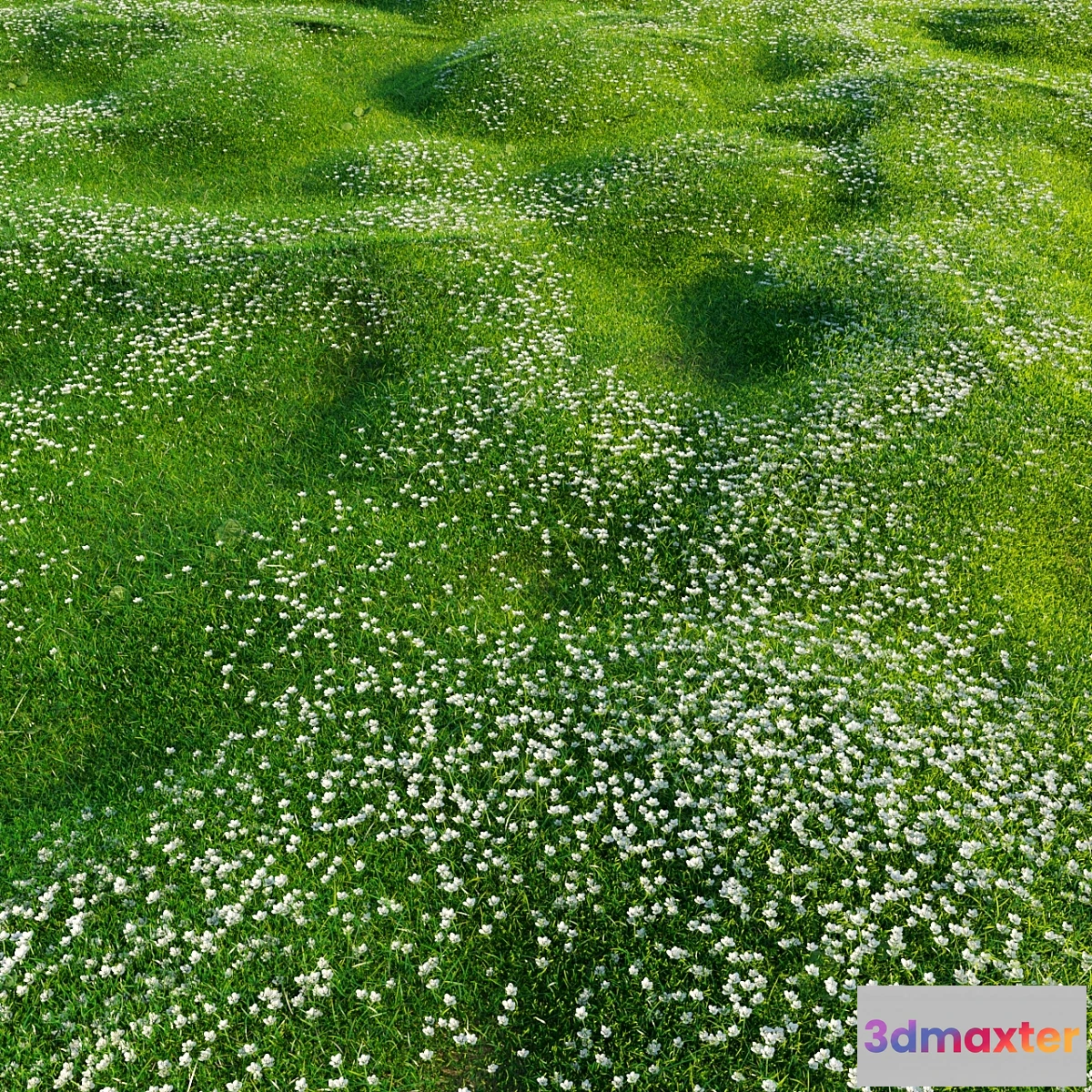 1296432 - Bryozo lawn 3D Max