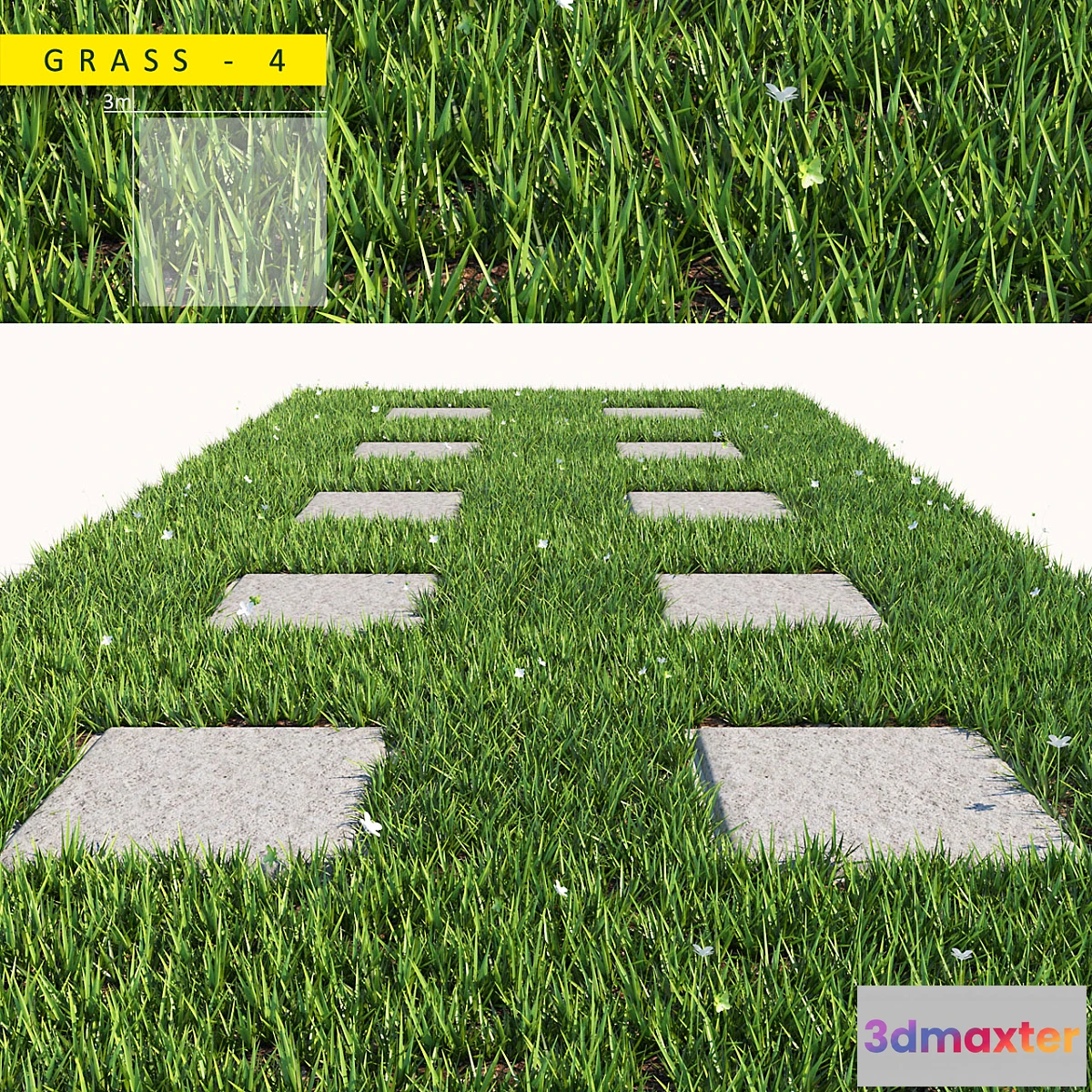 1299506 - grass 4 3D Max