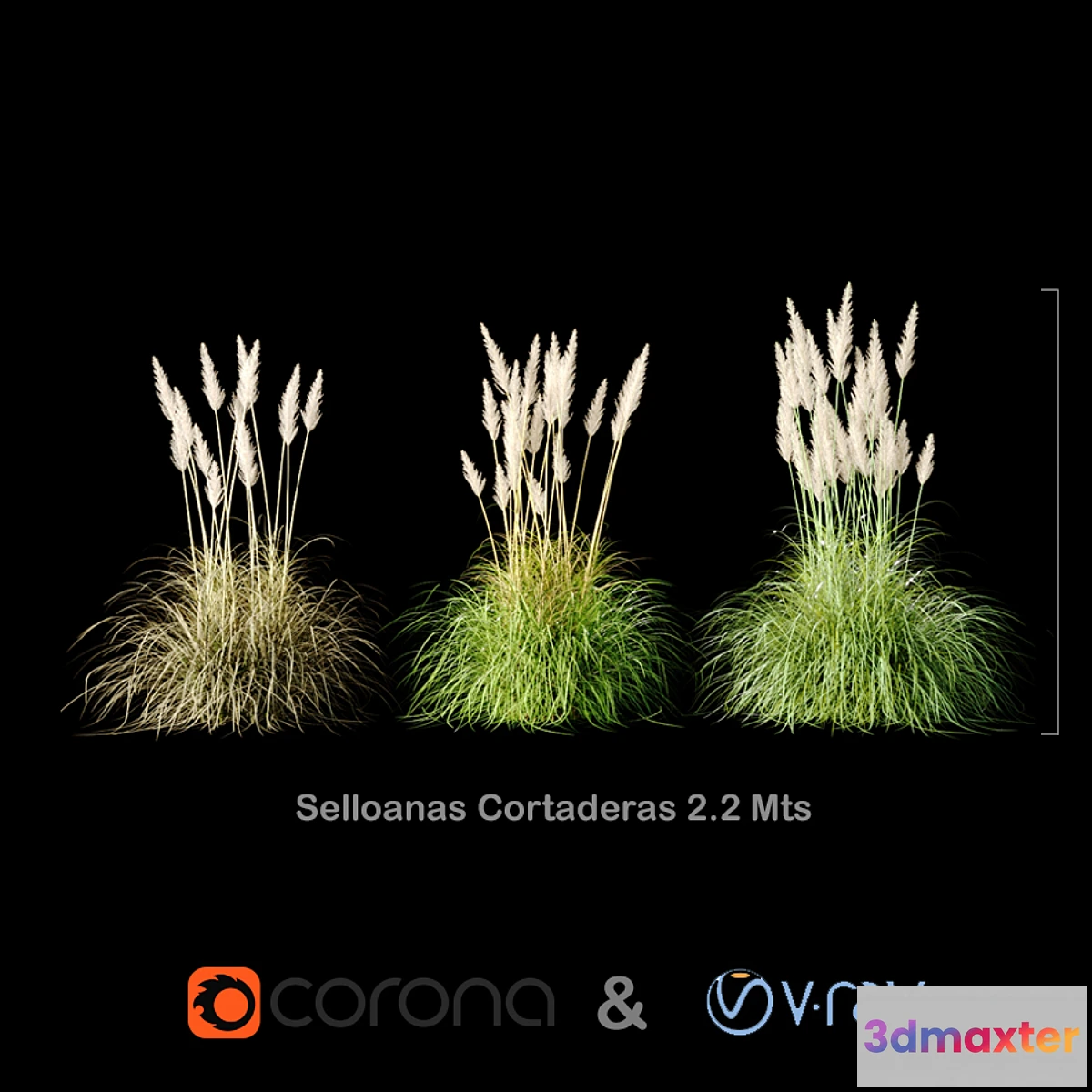 1299662 - Selloanas Cortaderas Medium 3D Max