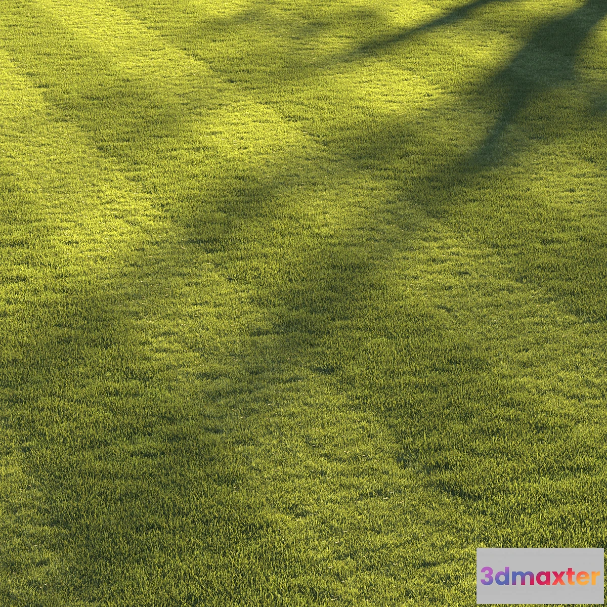 1300525 - Football pitch lawn 3D Max