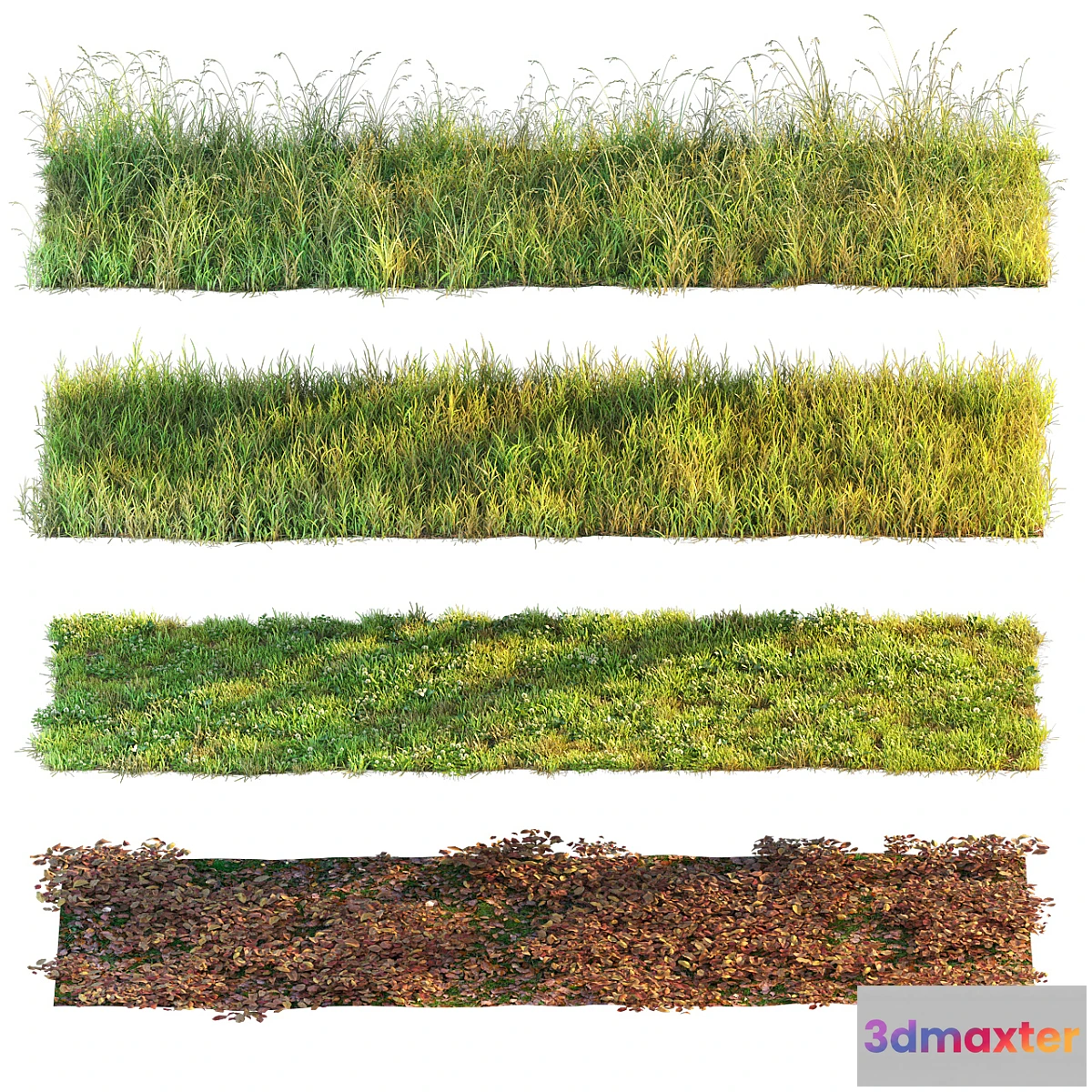 1304217 - Set of grass and leaves. 3D Max