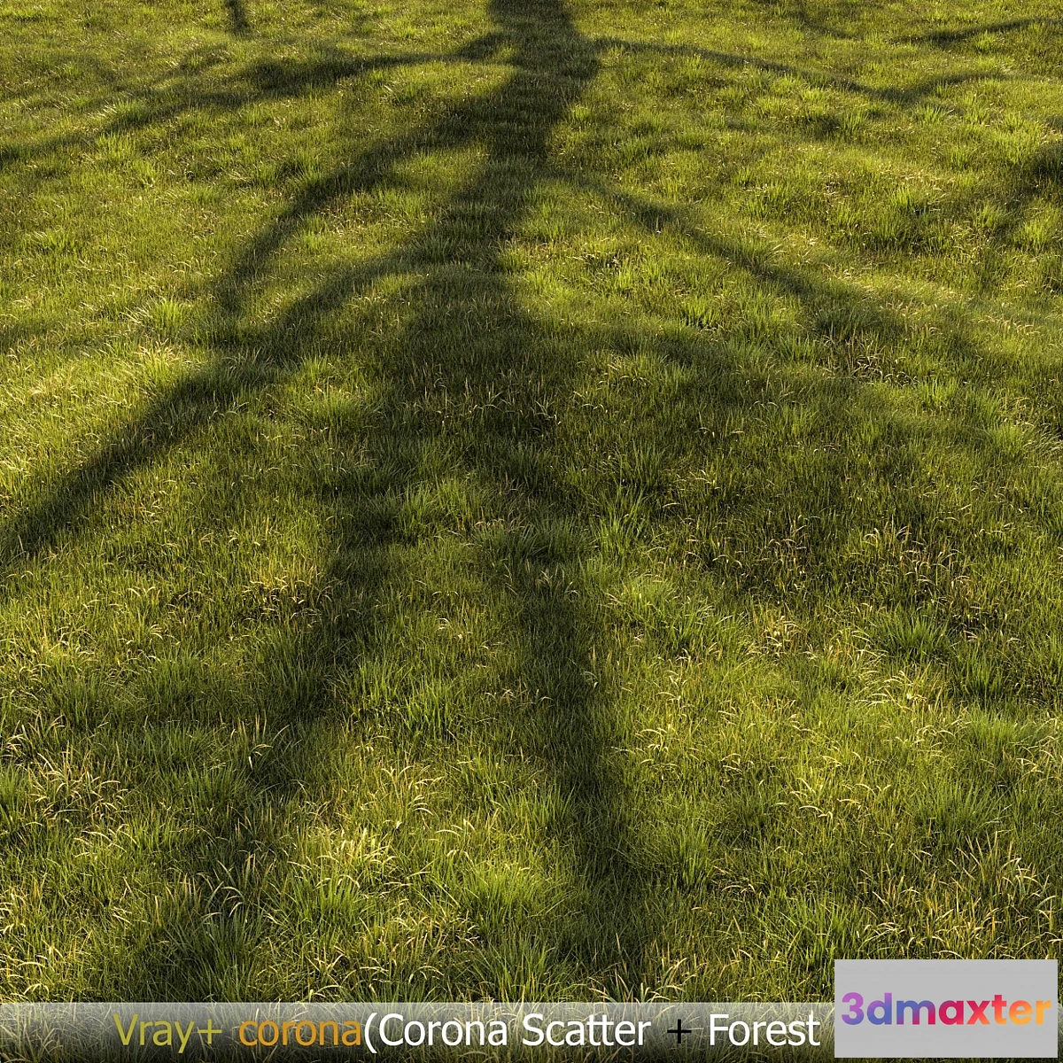 1307705 - Grass Landscape - No.2 3D Max