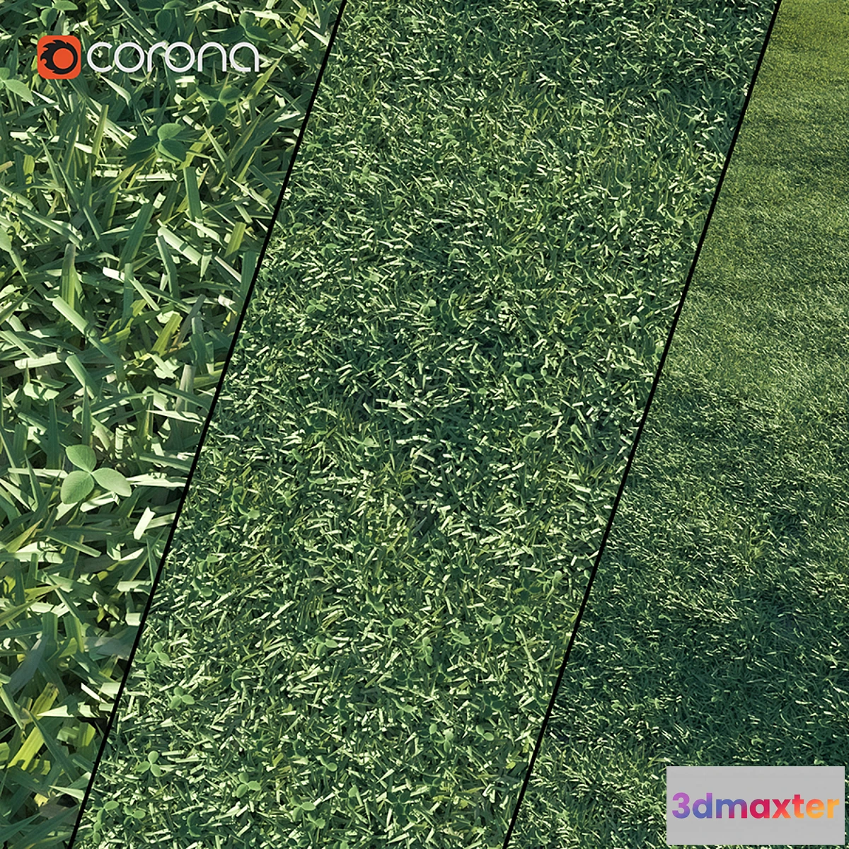 1308865 - Lawn grass - No.4 3D Max