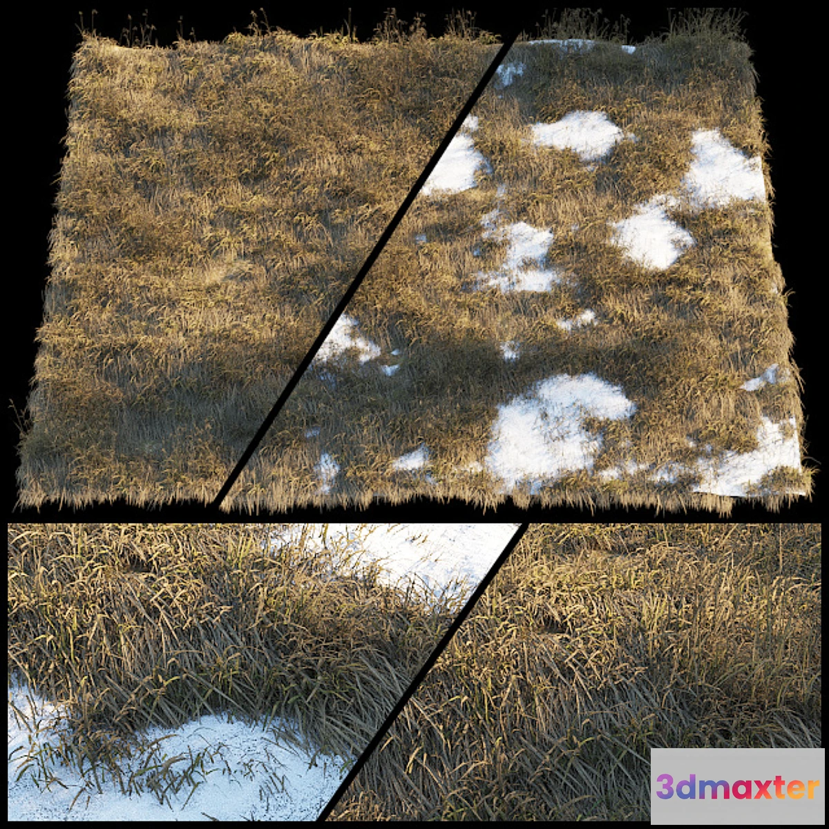 1320162 - Dry grass  Thaw pollen 3D Max