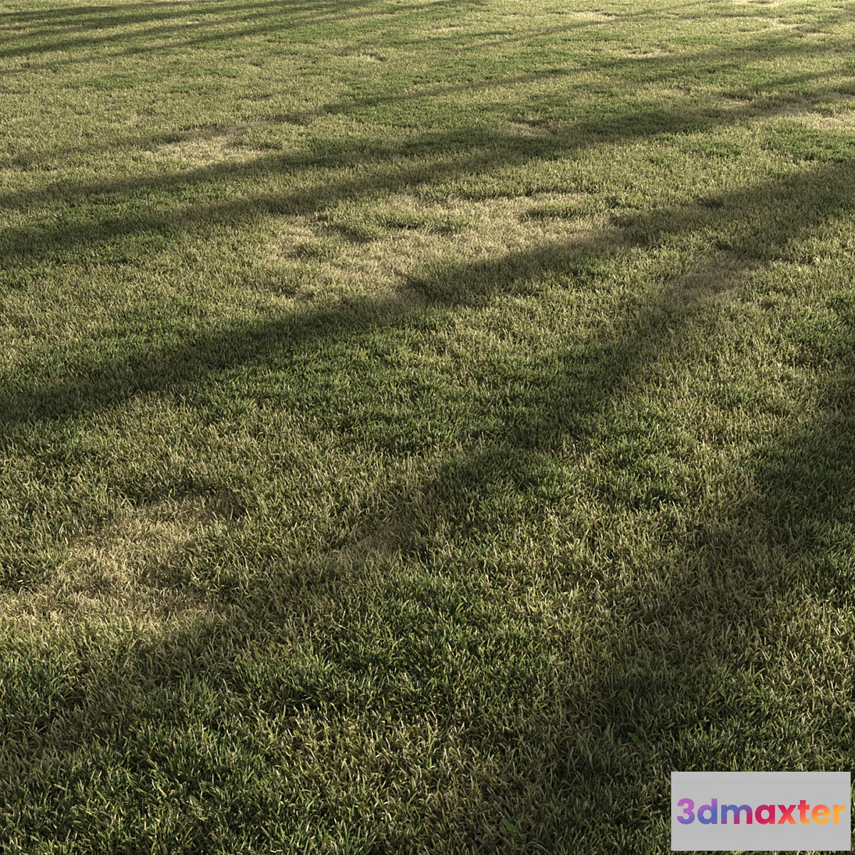 1322234 - Forest Grass 3 - No.2 3D Max