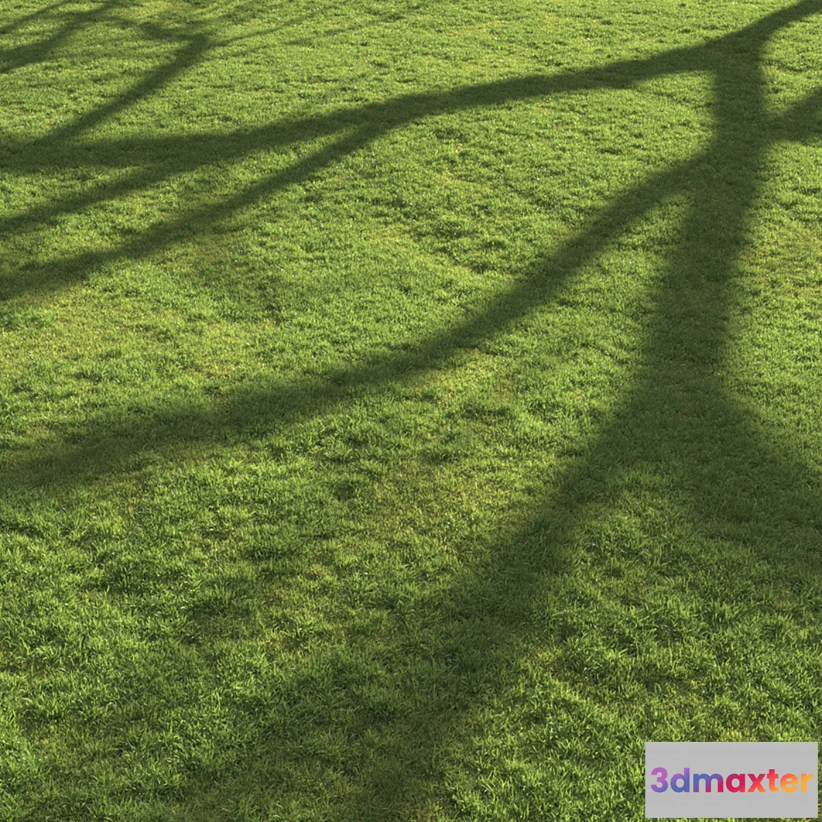 1322354 - Flat grass 3D Max