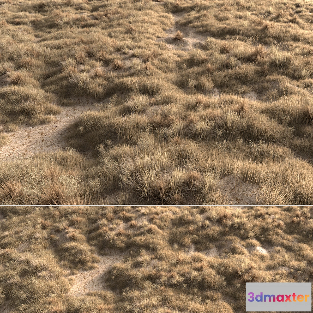 1322913 - Dried grass 3D Max