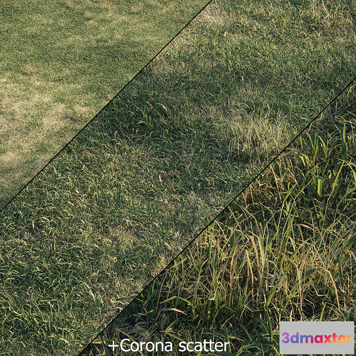 1323037 - Spring meadow  grass 3D Max