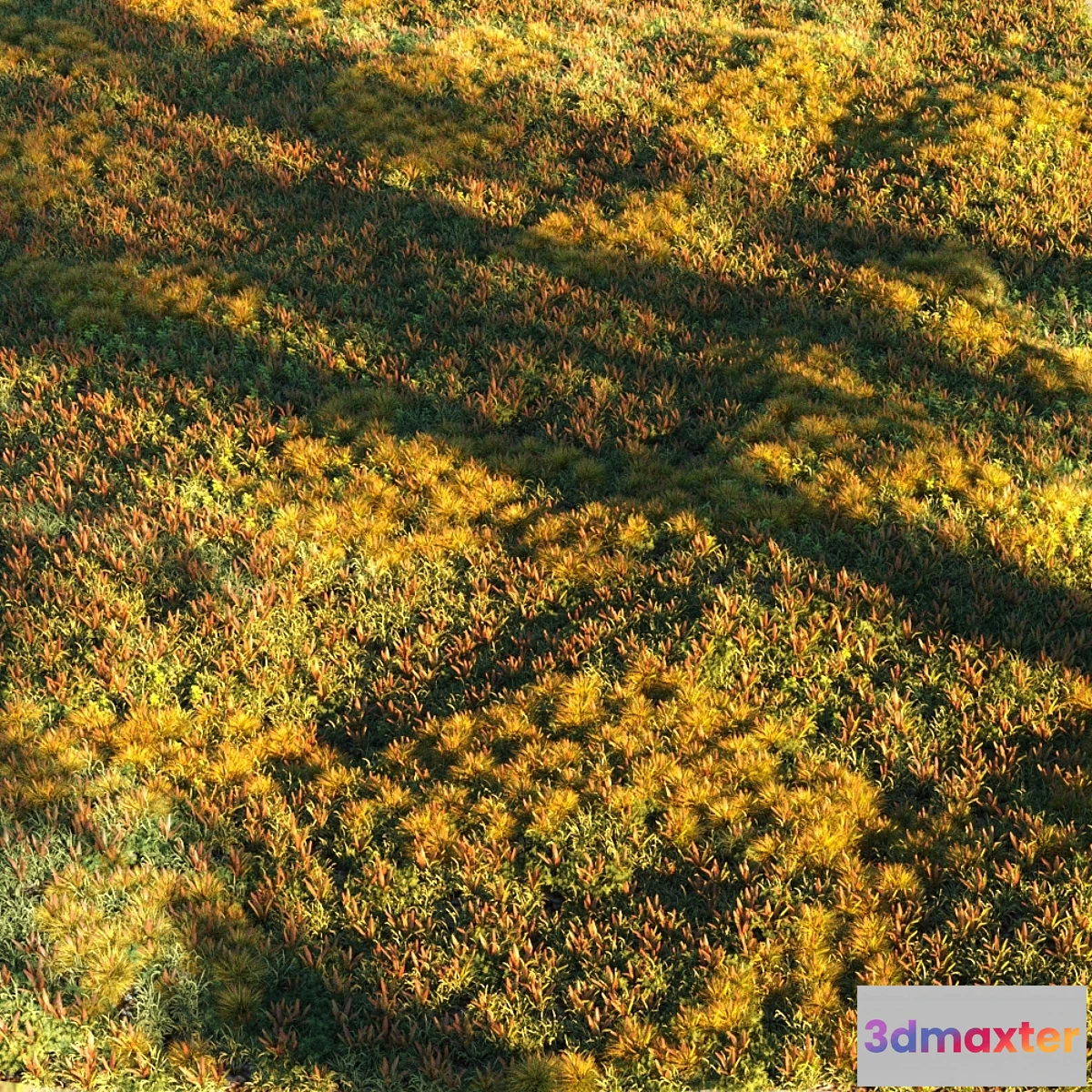 1324847 - Grass set 2 3D Max