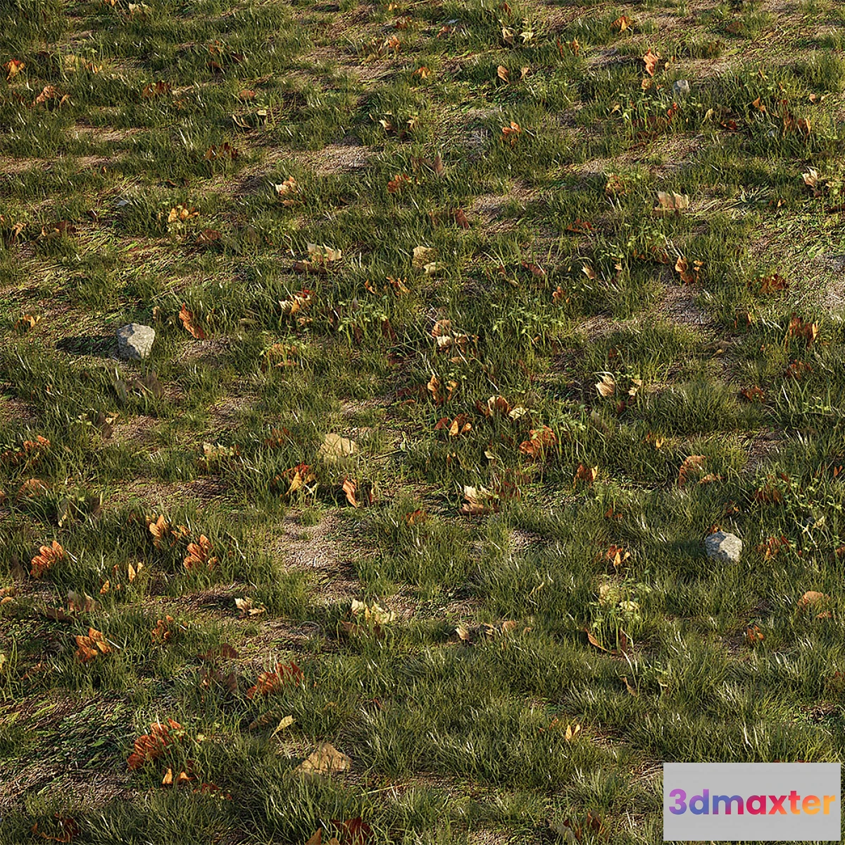 1325456 - House grass or lawns 3D Max