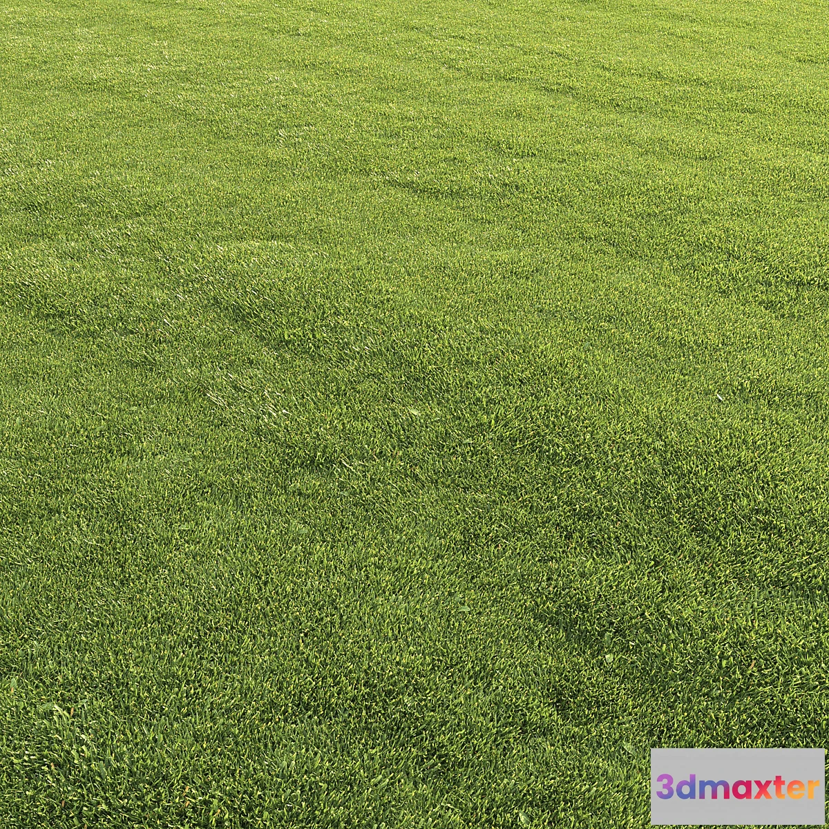 1327750 - Lawn grass - No.5 3D Max