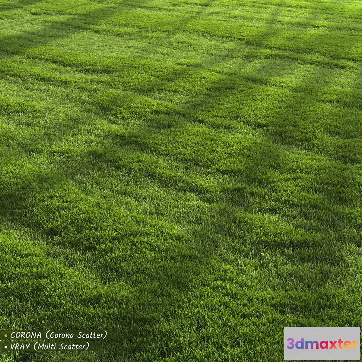 1328321 - Garden Lawn 3D Max