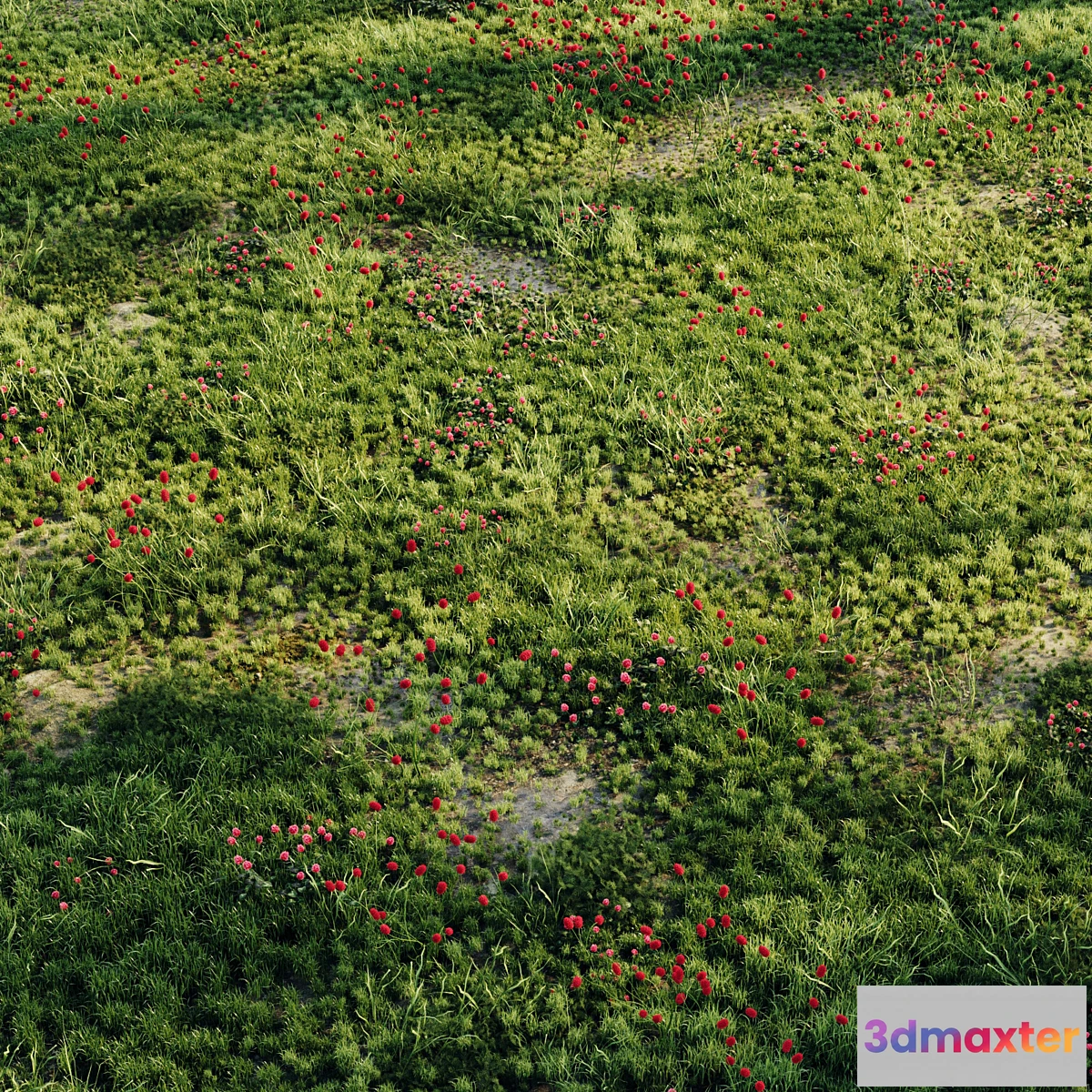 1329357 - Meadow grass 2 3D Max