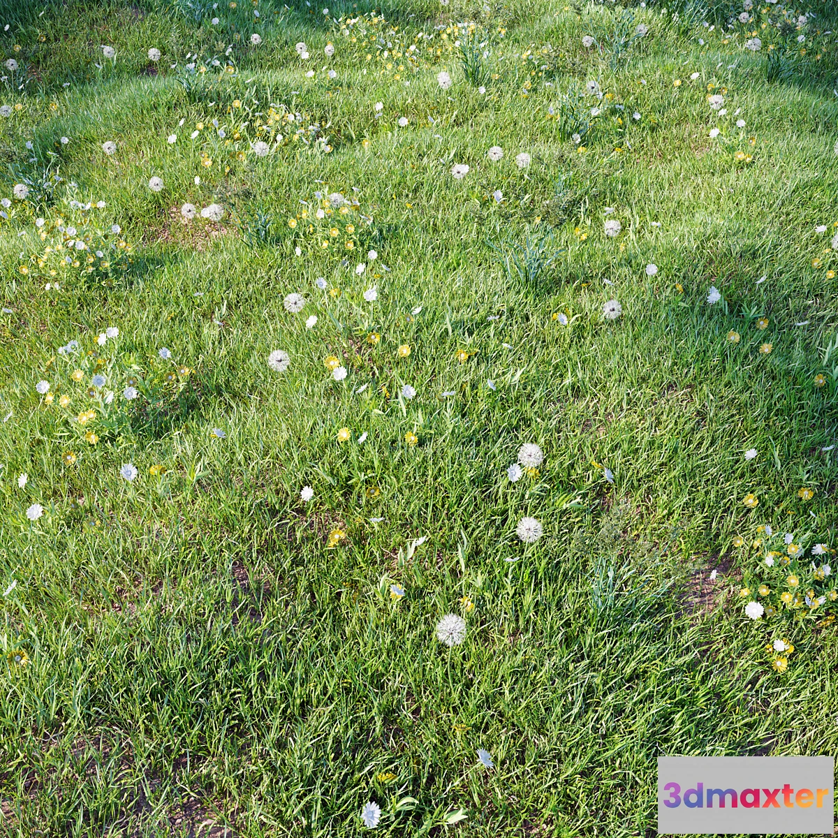 1330529 - grass_for_landscaping_set03 3D Max