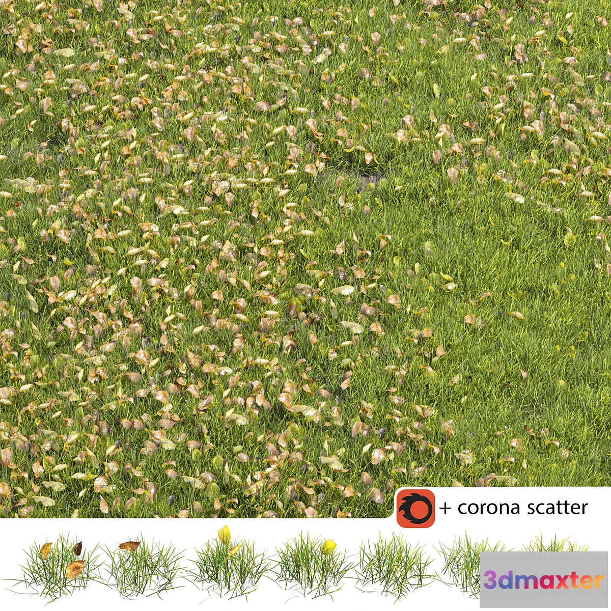 1332333 - Autumn lawn 3D Max