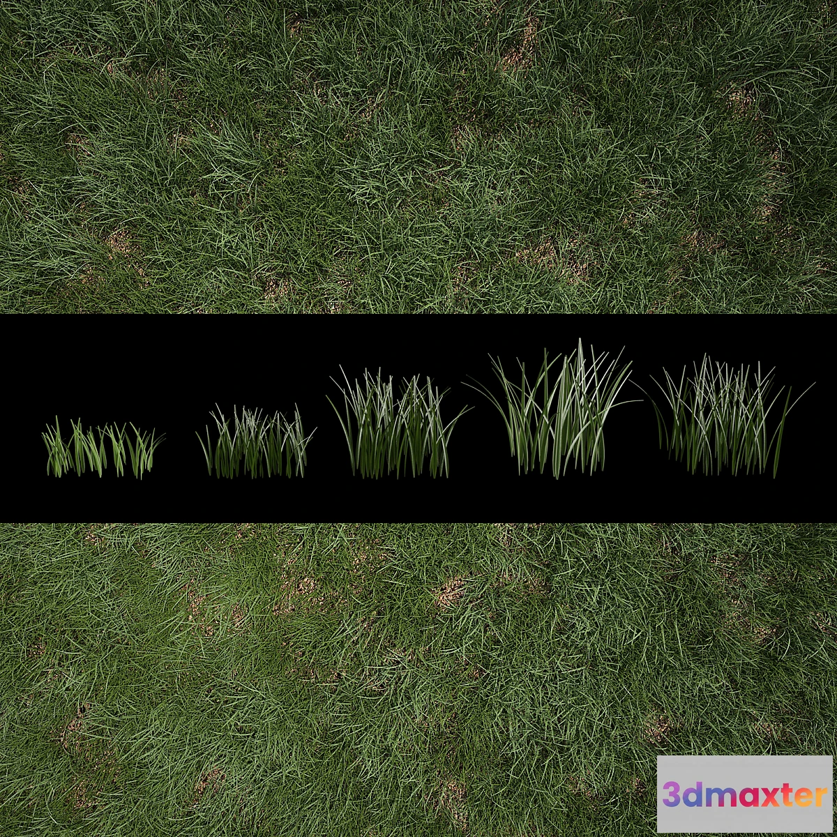 1333708 - Grass for Exteriors 3D Max