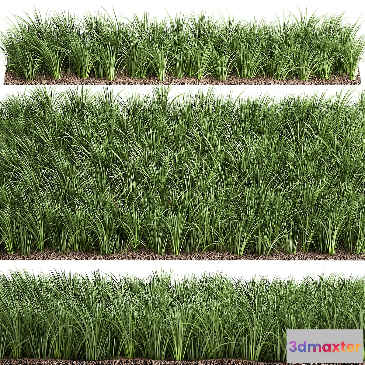 1334496 - Lawn 941. grass bushes landscaping 3D Max