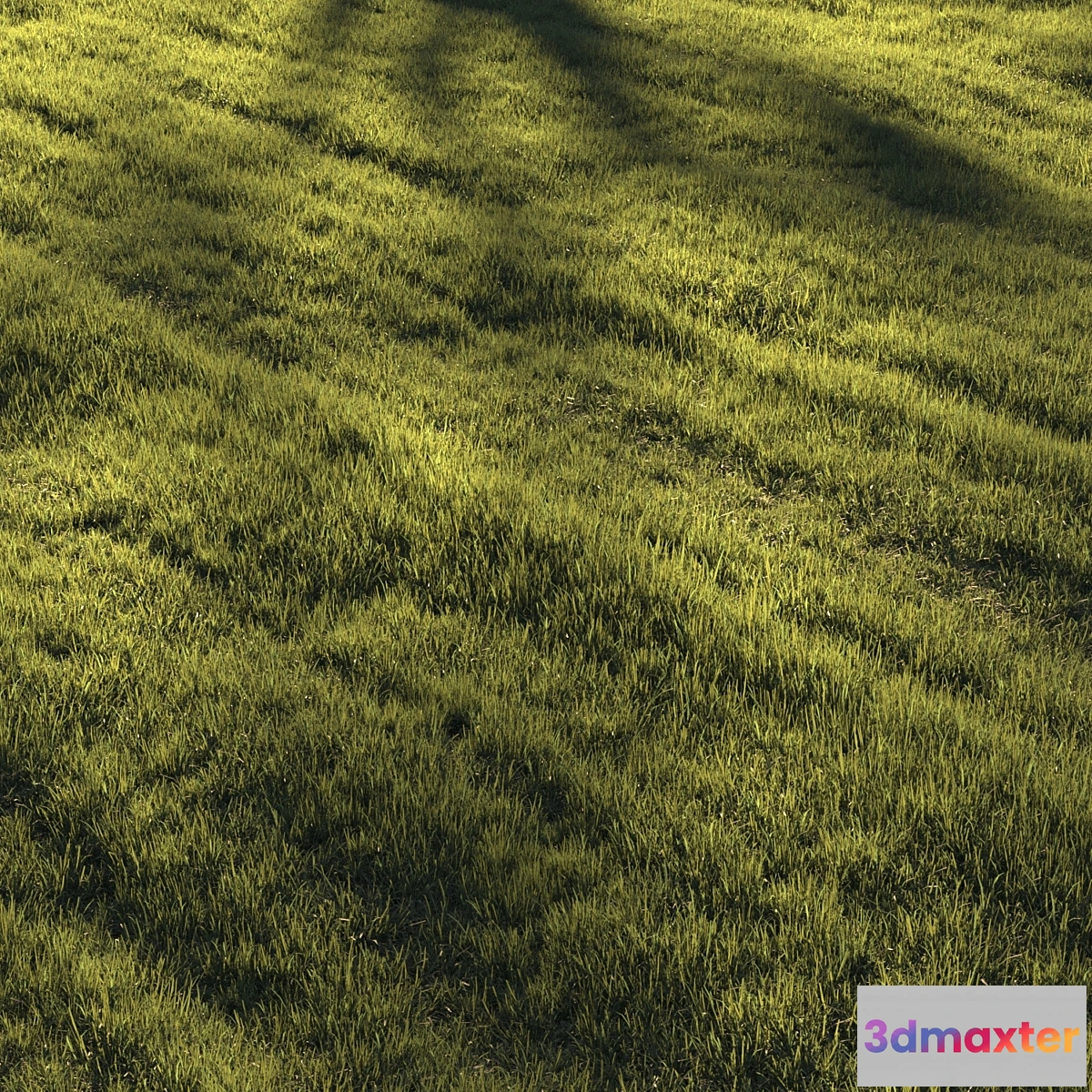 1338799 - Grass  lawn 3D Max